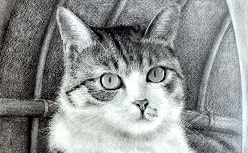 伊藤画塾 鉛筆デッサン 生徒作品