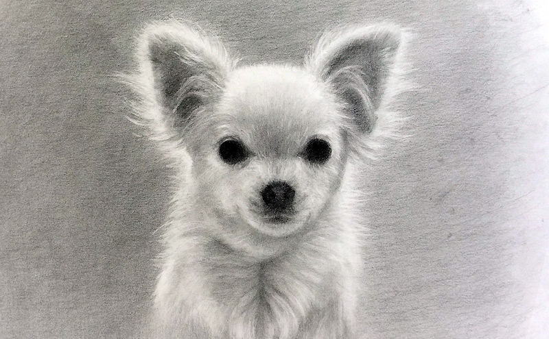 伊藤画塾 鉛筆デッサン 生徒作品