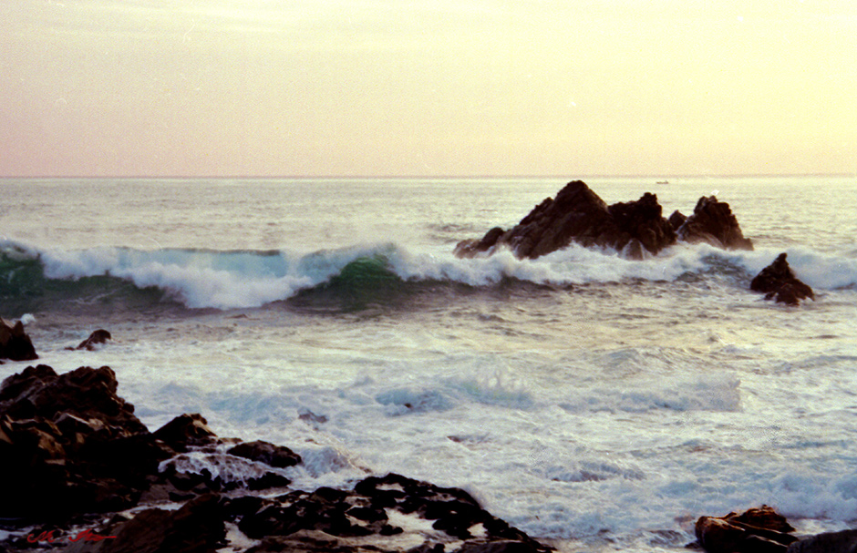 伊藤正宏 油絵 P8 「寄せる波」